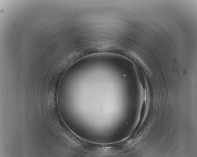 X0000062140497200512161221