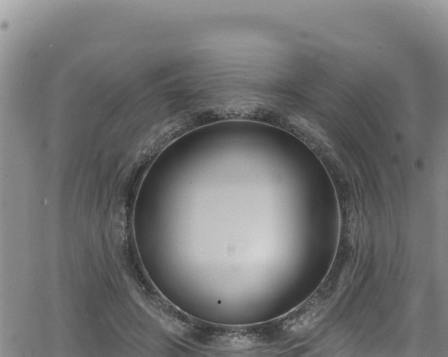 X0000062140498200512161221