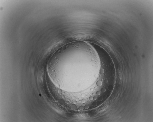 X0000062140499200512161221