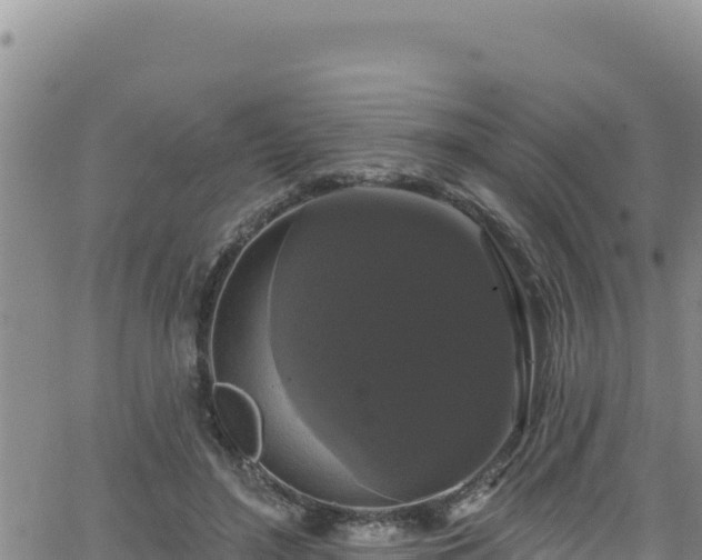 X0000062140500200512161221