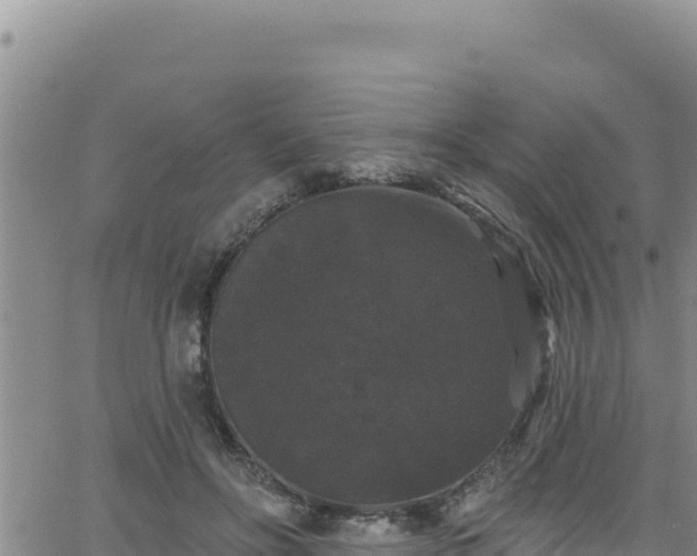 X0000062140502200512161221