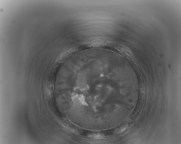 X0000062140503200512161221