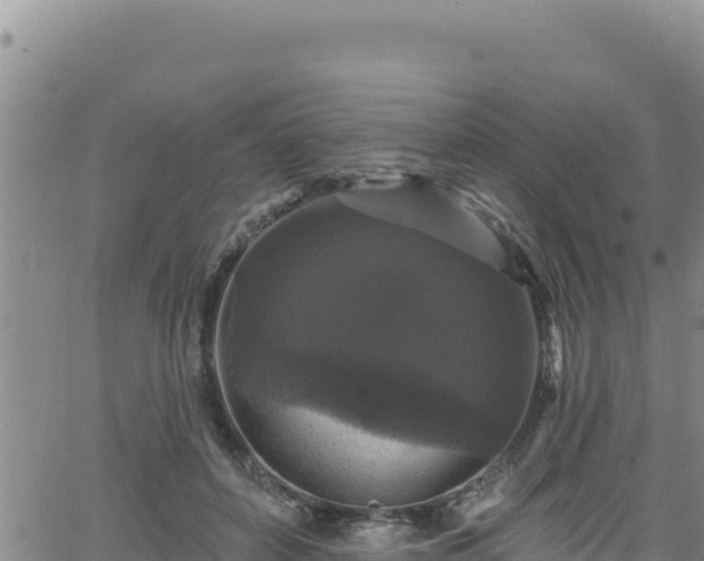 X0000062140504200512161221