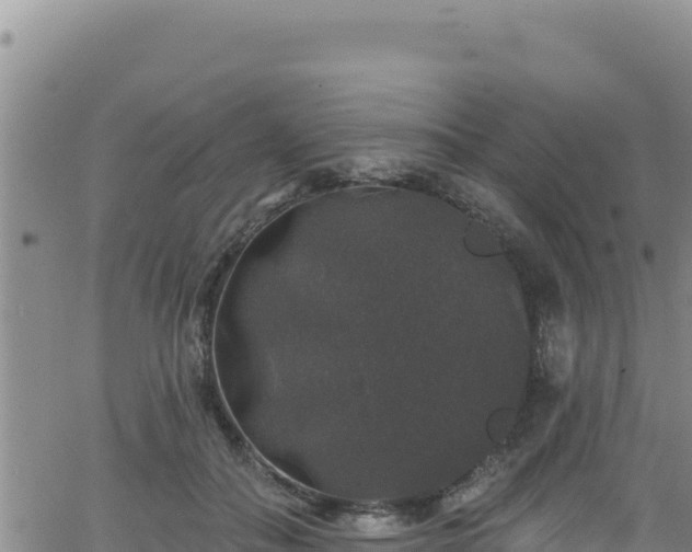 X0000062140506200512161221