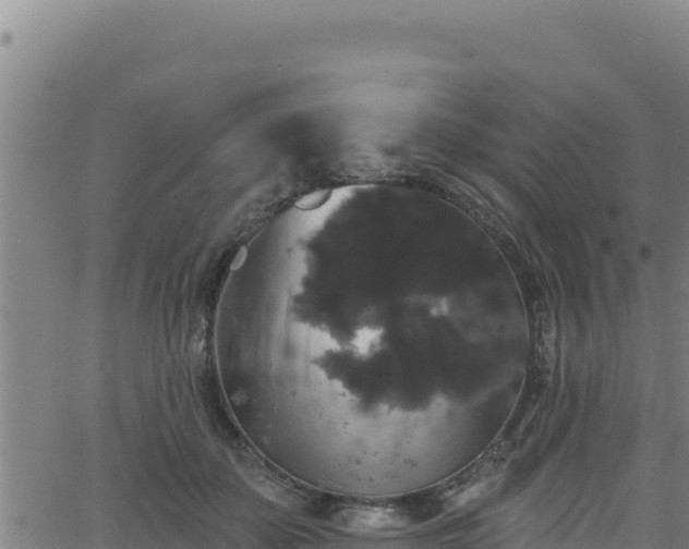 X0000062140507200512161221