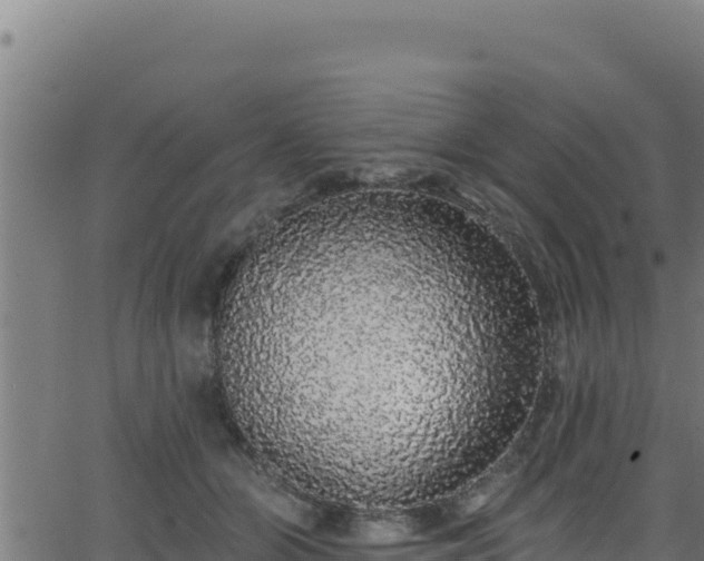 X0000062140510200512161221