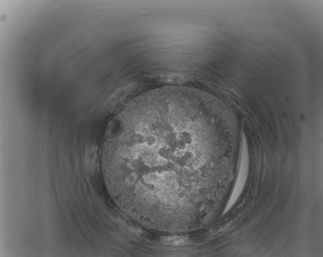 X0000062140511200512161221