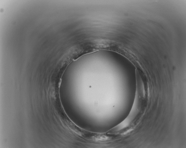 X0000062140512200512161221