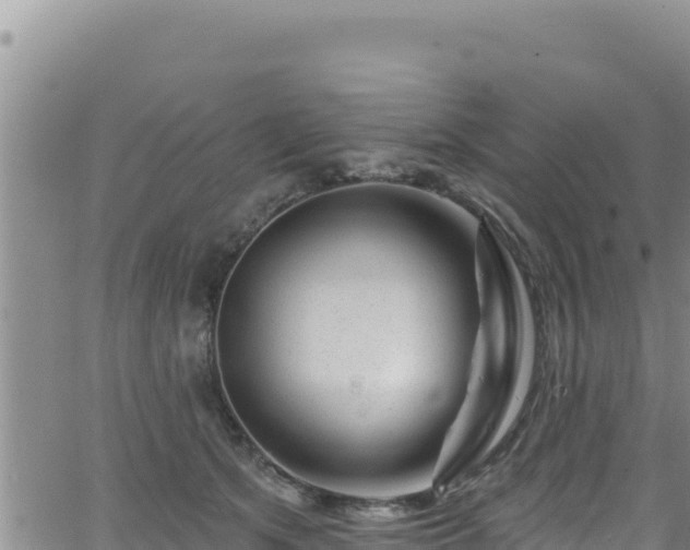 X0000062140513200512161221