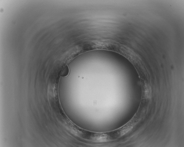 X0000062140514200512161221