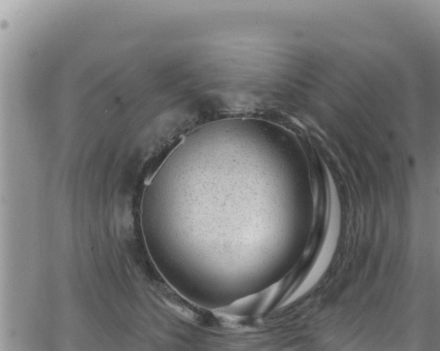 X0000062140516200512161221