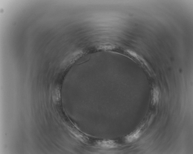 X0000062140517200512161221