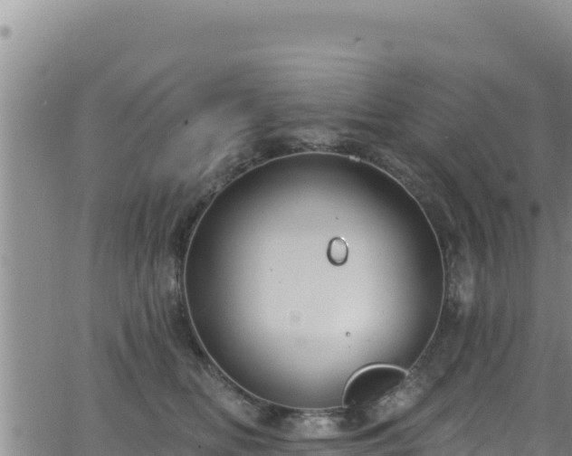 X0000062140518200512161221