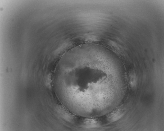 X0000062140519200512161221