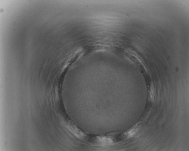 X0000062140520200512161221