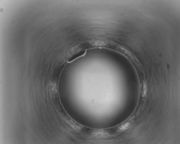 X0000062140521200512161221