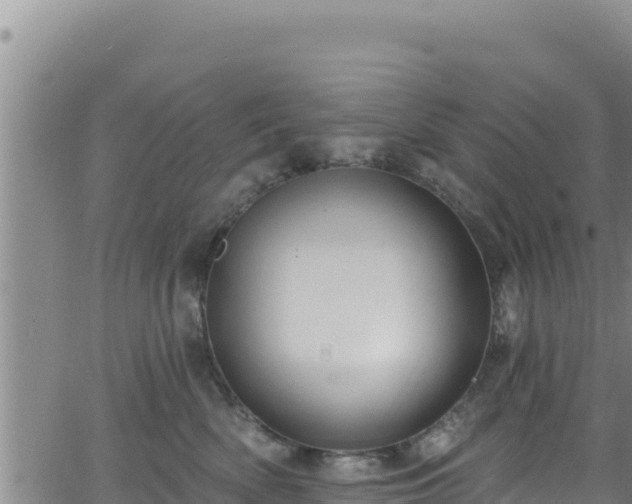 X0000062140522200512161221