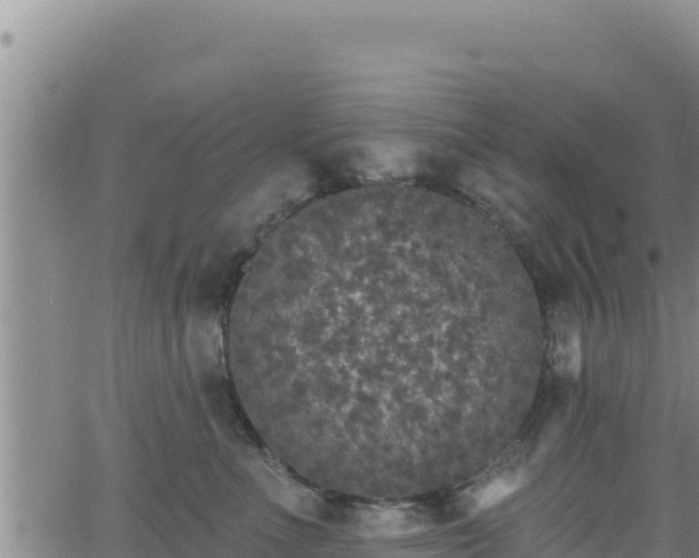 X0000062140523200512161221