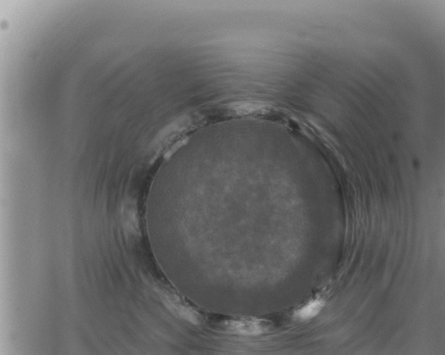 X0000062140524200512161221