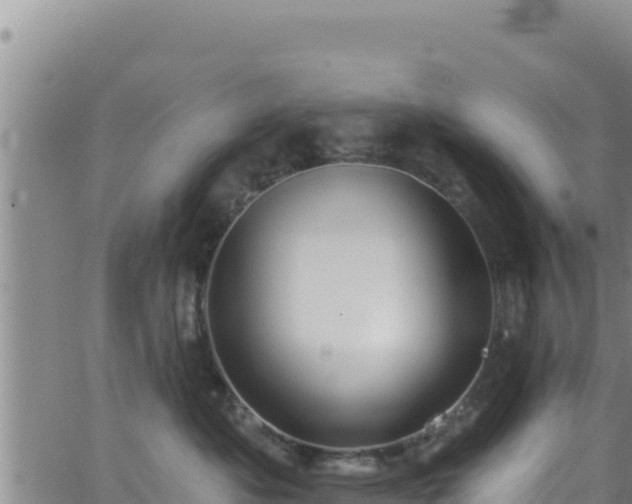 X0000062140525200512161221