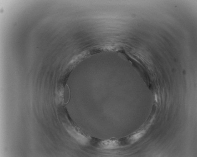 X0000062140526200512161221