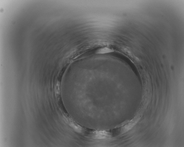 X0000062140528200512161221