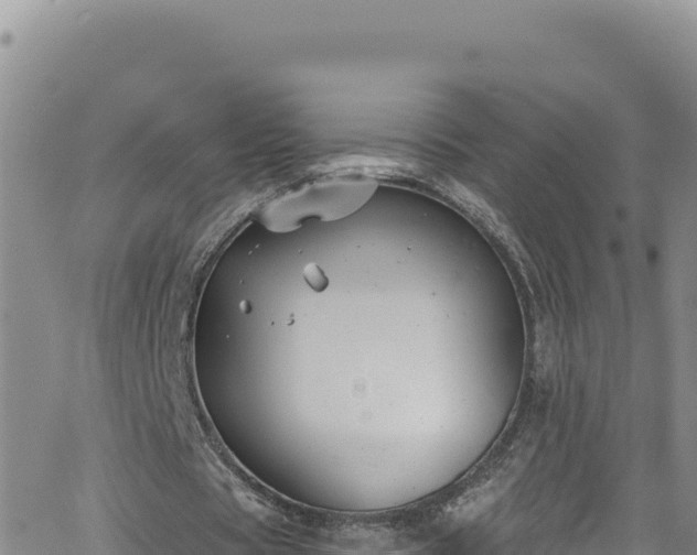 X0000062140529200512161220