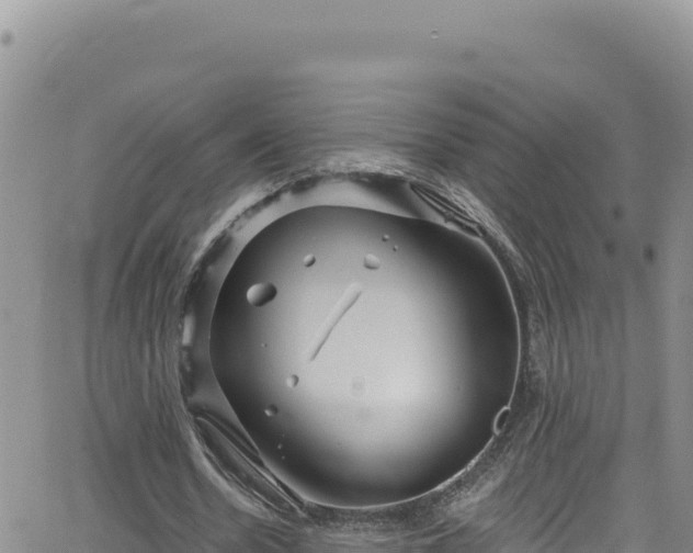 X0000062140530200512161220