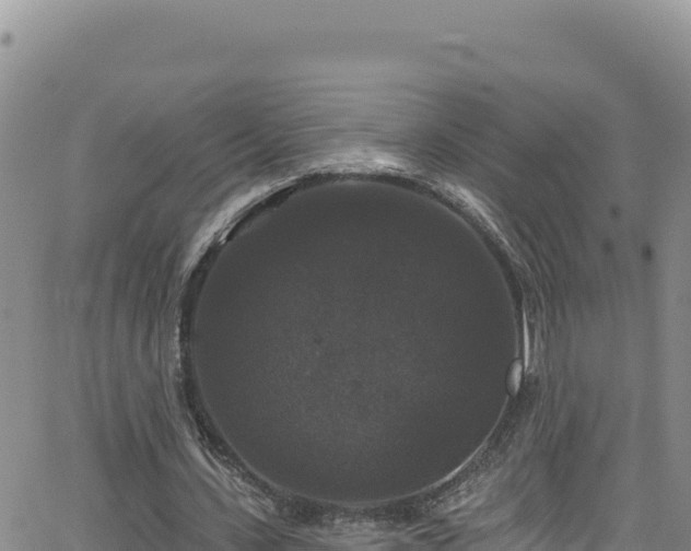 X0000062140531200512161220