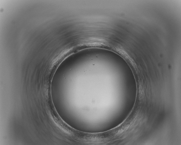 X0000062140533200512161220