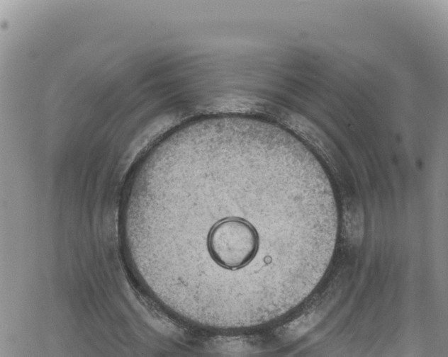 X0000062140534200512161220