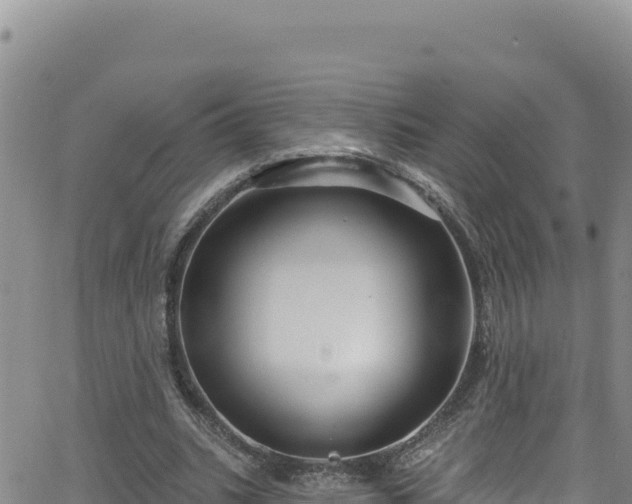 X0000062140535200512161220