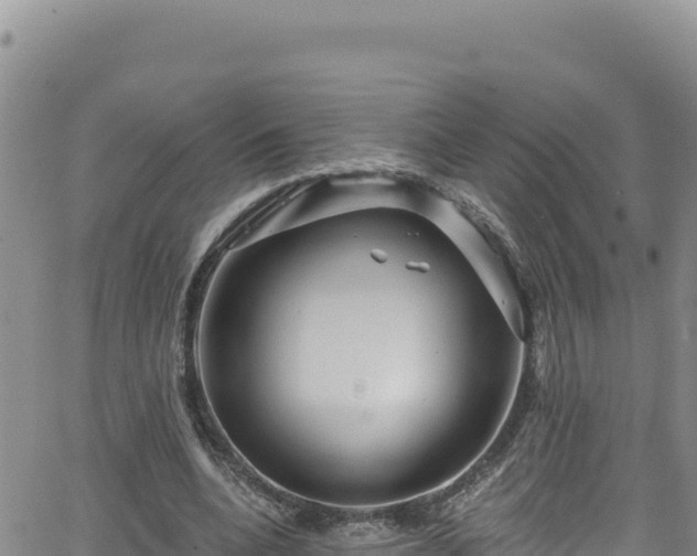 X0000062140536200512161220