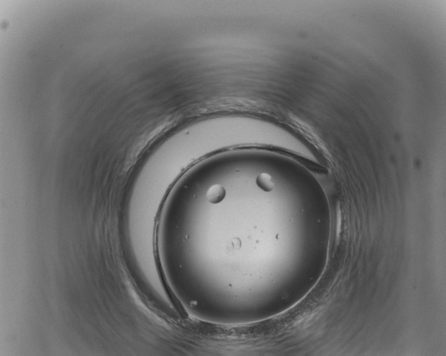 X0000062140538200512161220