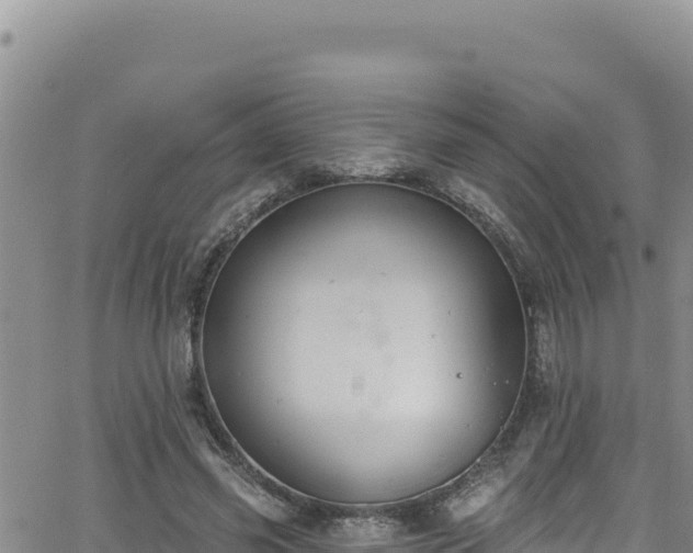 X0000062140541200512161220