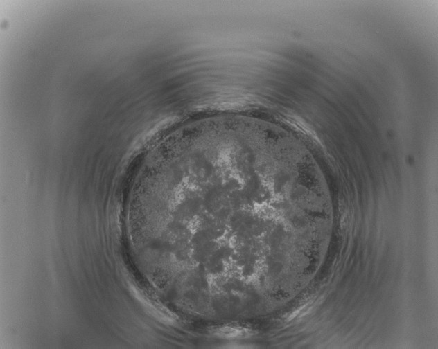 X0000062140542200512161220