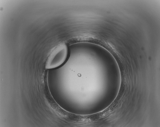 X0000062140543200512161220