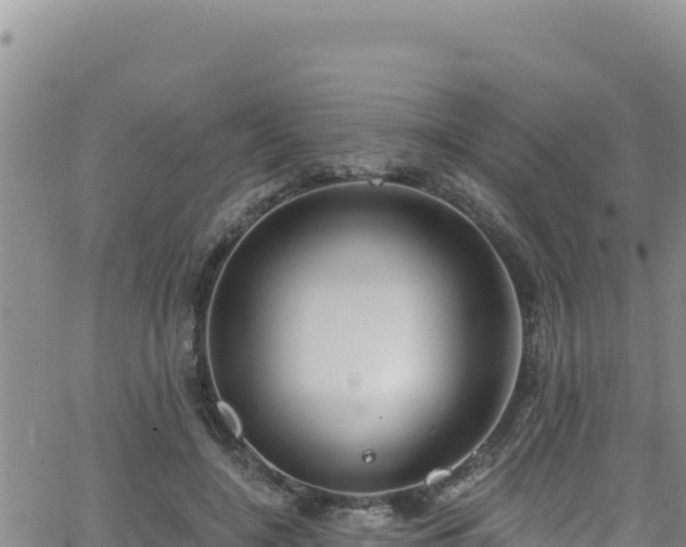 X0000062140548200512161220