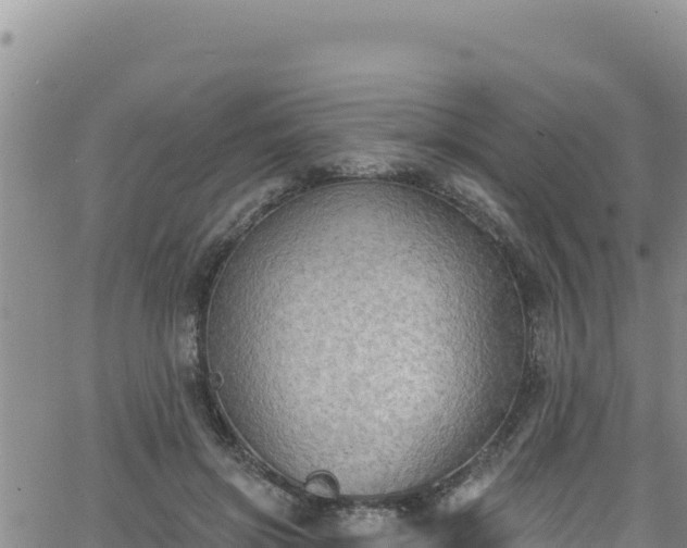 X0000062140549200512161220