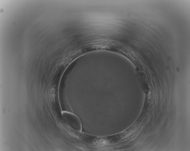 X0000062140551200512161220