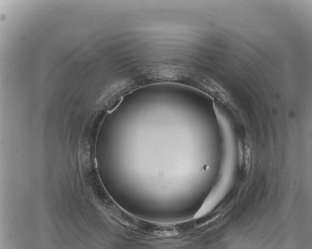 X0000062140552200512161220