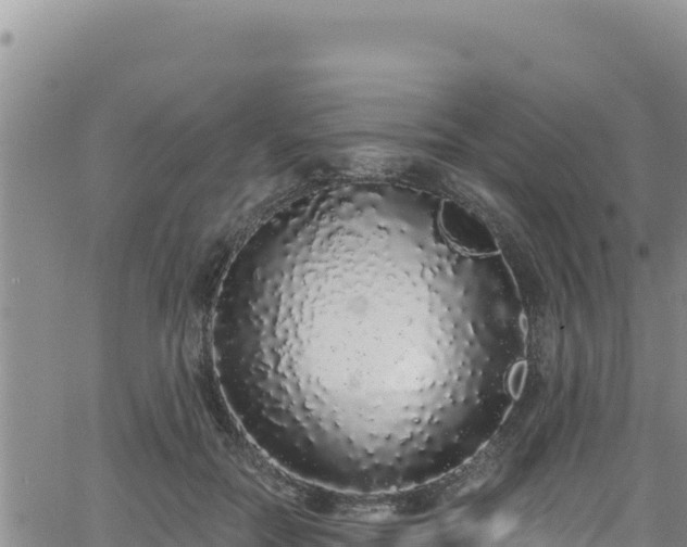 X0000062140554200512161220