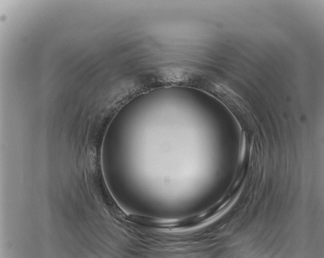 X0000062140556200512161220