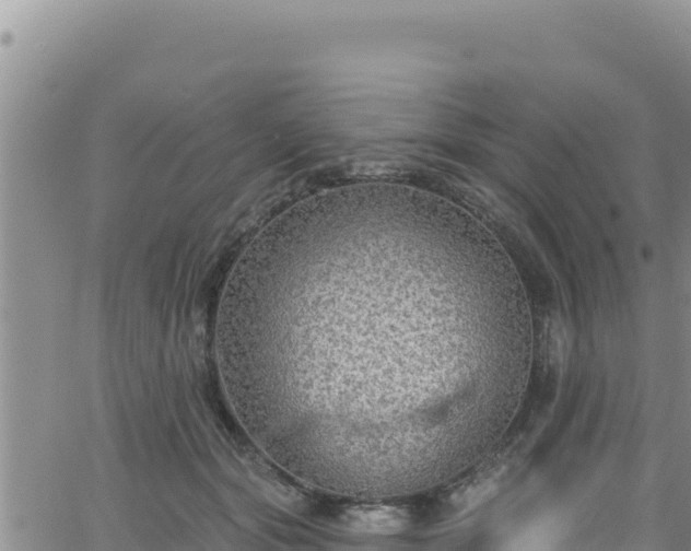 X0000062140557200512161220