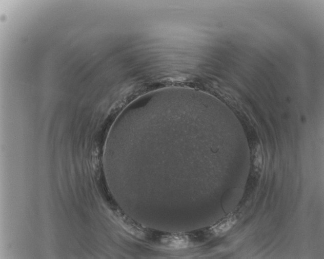 X0000062140559200512161220