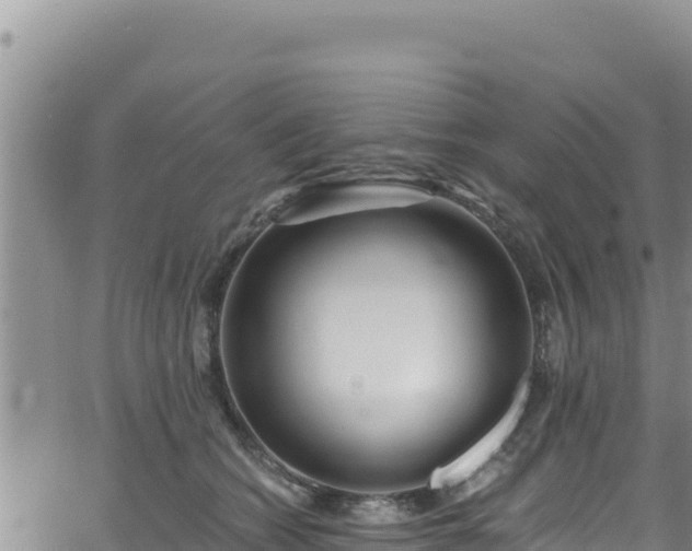 X0000062140562200512161220