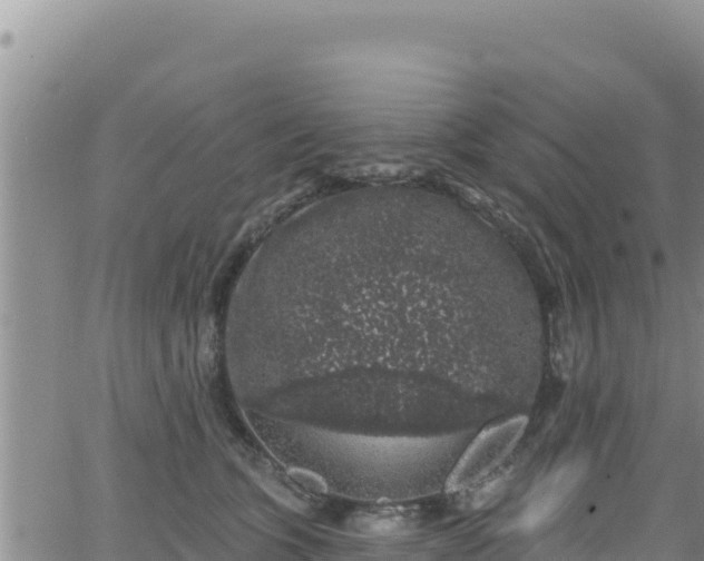 X0000062140563200512161220