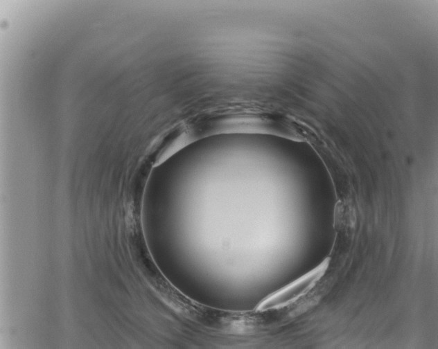 X0000062140564200512161220