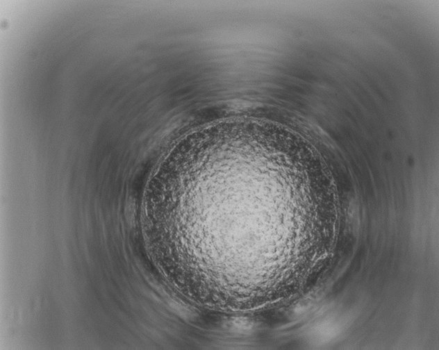 X0000062140565200512161220