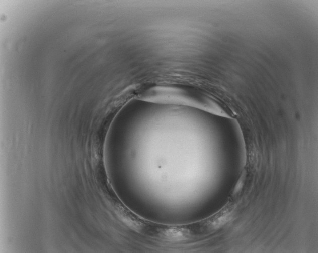 X0000062140566200512161220